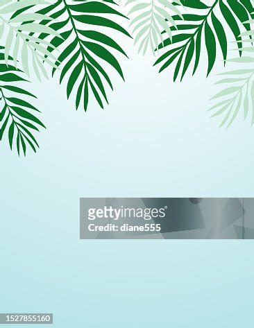 Tropical Leaf Border Frame High-Res Vector Graphic - Getty Images