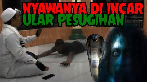 KISAH TRAGIS PEMUDA YANG AKAN DI JADIKAN TUMBAL PESUGIHAN ULAR YouTube