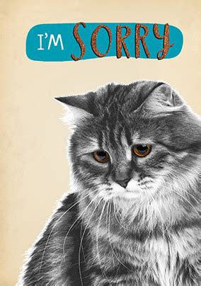 I'm Sorry Cat Card | Funky Pigeon