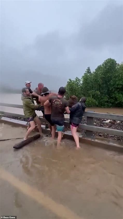 Cairns flooding: Powerful moment Aussie locals save a cow from raging ...