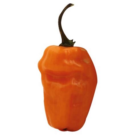 Habanero Peppers, 1 ct - Kroger