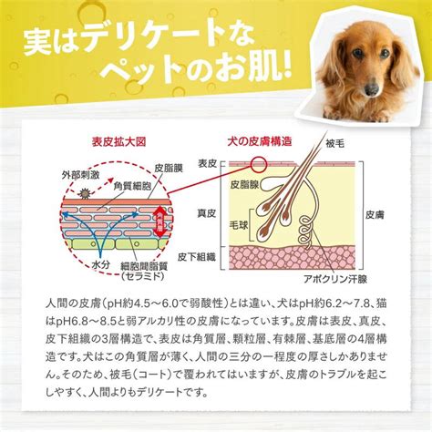 【楽天市場】数量限定｜ペット用 入浴剤 洗浄剤 重炭酸入浴剤 ペット 犬用 ホットタブ hot tab【グルーミング タブ(100錠)】【送料 ...