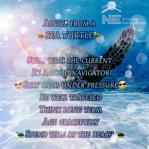 Advise From A Sea Turtle Swim With The Current Be A Good Navigator