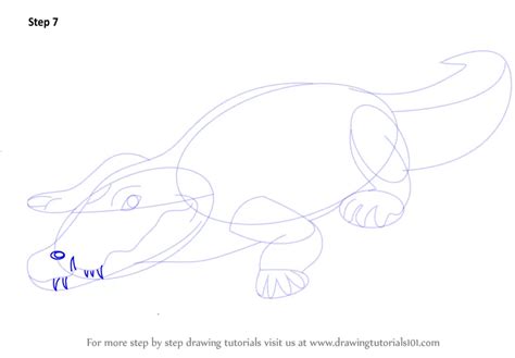 Learn How To Draw A Crocodile Zoo Animals Step By Step Drawing