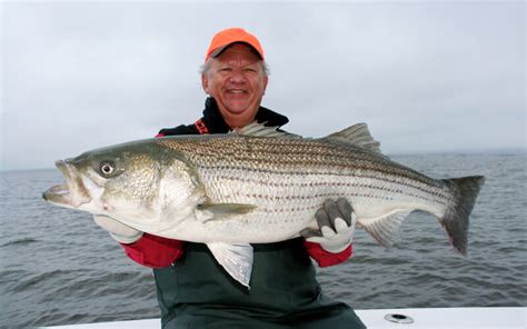 Chesapeake Bay Fishing Charters | Virginia Fishing | Tidewater Charters