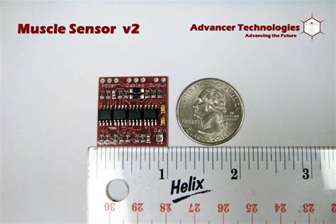 Muscle sensor – Capteur photoélectrique