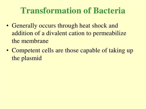 Bacterial transformation