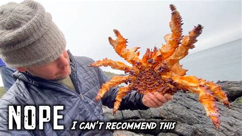 Puget Sound King Crab Catch Cook YouTube