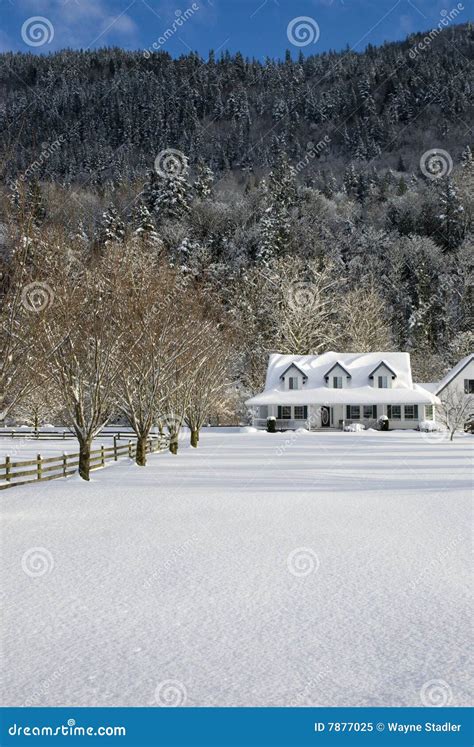 Snowy Farm House stock image. Image of snow, driveway - 7877025