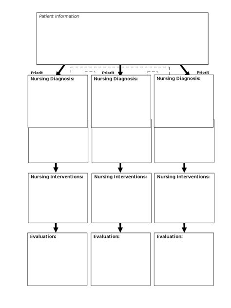 Concept Care Map Template Pdf Nursing Health Care