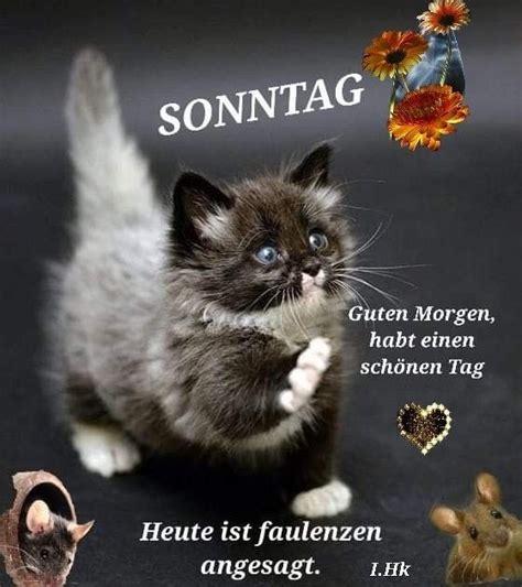 Pin Von Marion Fatone Auf Sonntag Guten Morgen Sch Ne Bilder Lustige