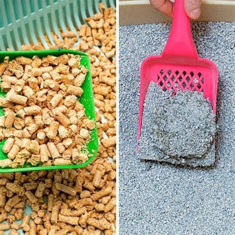 Clumping vs Non-Clumping Cat Litter: Pros and Cons