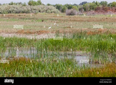 Humedales Y Pastizales Fotografías E Imágenes De Alta Resolución Alamy