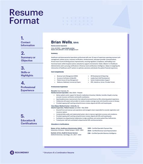 professional resume format professional resume template  microsoft