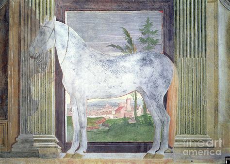 Sala Dei Cavalli Detail Showing A Portrait Of A Grey Horse From The