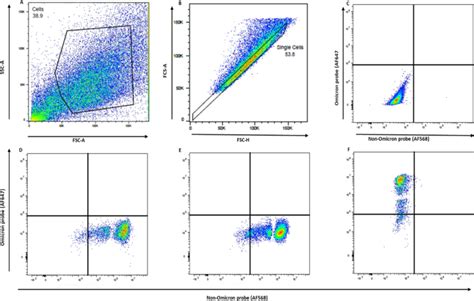 Evaluation Of The PrimeFlow RNA Assay As A Method Of Detection Of SARS