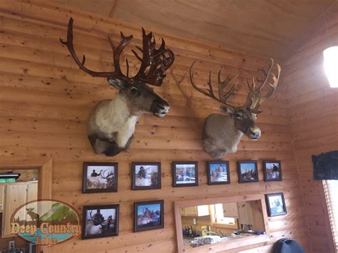 Hunting Lodges Deep Country Lodge Trophy Woodland Caribou Hunting