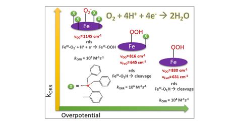 Amine Groups In The Second Sphere Of Iron Porphyrins Allow For Higher