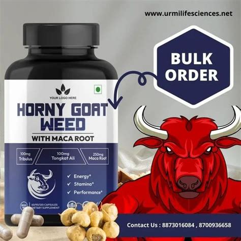 Horny Goat Weed Mg Mg Capsules Manufacture At Rs Bottle