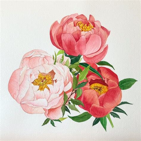 Flower Art Painting Botanical Drawings Botanical Painting