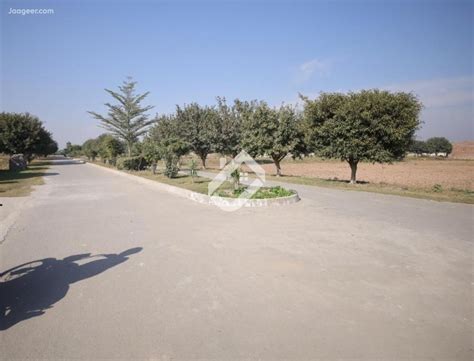 Houses Shops Plot For Sale In Sargodha