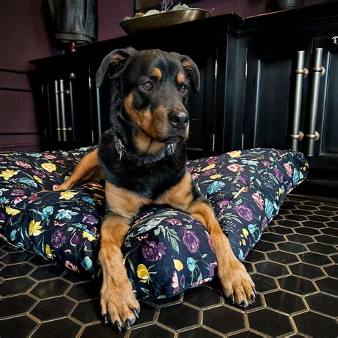 Floral & Midnight Blue 100% Cotton Dog Bed Cover - Non-toxic ...