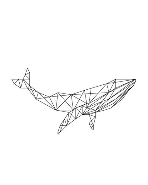 Whale Outline Drawing at GetDrawings | Free download