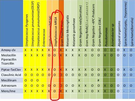 Antibiotic classes chart