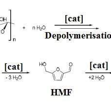 10 Possible Reaction Pathways From Cellulose To Levulinic Acid