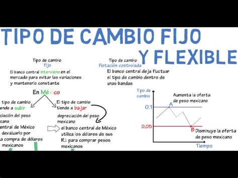 Tipo de cambio fijo y flexible Cap 16 Macroeconomía YouTube