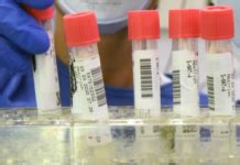 Sunday Samoan Sex Crimes Truth And Pride In Samoa Asia Pacific Report