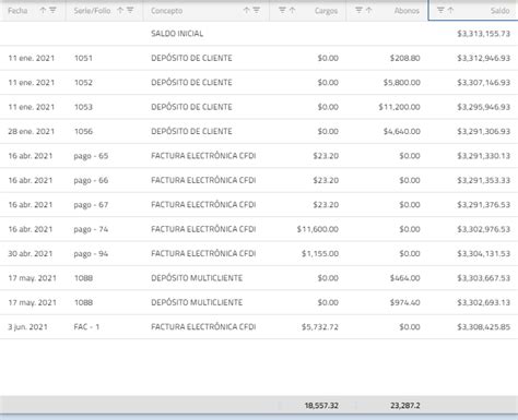 Estado De Cuenta De Cliente Reportes Sinube