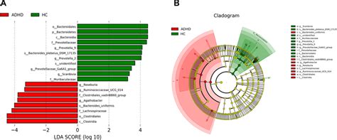 Linear Discriminant Analysis Lda Effect Size Lefse Revealed