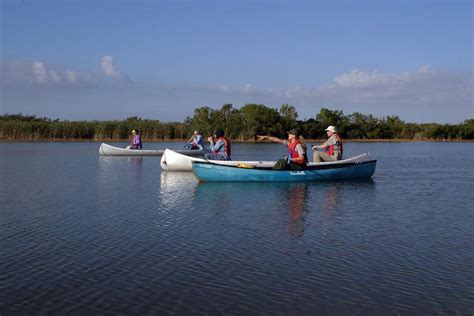 Everglades Tours - Evergladers