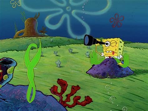 Spongebobs Glassesgallery Encyclopedia Spongebobia Fandom