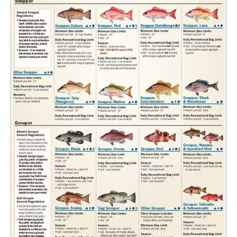 Florida Recreational Saltwater Fishing Regulation Chart Florida Fish