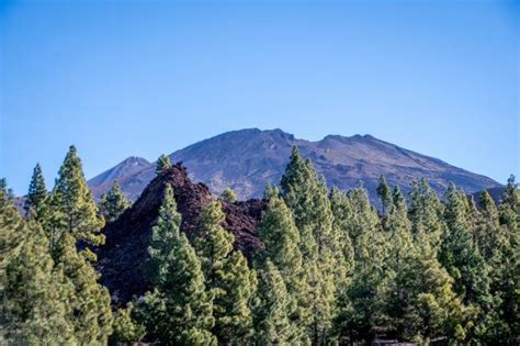 The Ultimate Guide To Visiting Mount Teide Travel Addicts