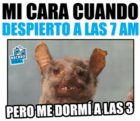 15 imágenes que te harán decir la vida es un meme Mensajes de humor