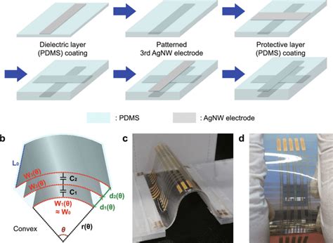 Stretchable Dual Capacitor Sensor Composed Of Agnw Electrodes And Pdms