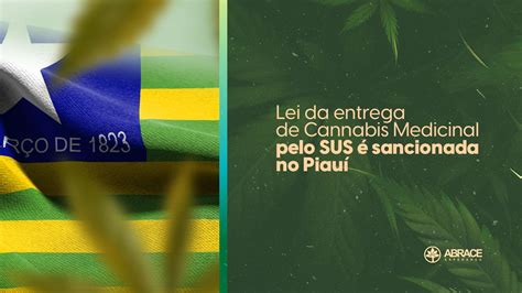 Lei Da Entrega De Cannabis Medicinal Pelo Sus Sancionada No Piau