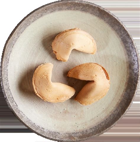 Fortune Cookies - Oodles