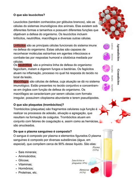 Solution Hematologia Resumo Completo Studypool