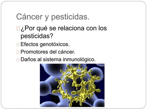 Por Qu Usamos Fertilizantes Y Plaguicidas Ppt