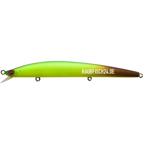 Megabass X-120 - Raubfisch24