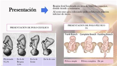 Edad de embarazo estudio de la pelvis Pelvimetría PPT