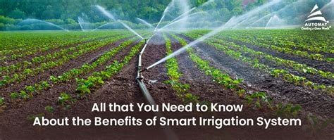 Your Guide To Smart Irrigation System All You Need To Know