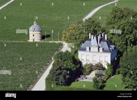 France Gironde Pauillac The Estate Of Chateau Latour Where A Wine