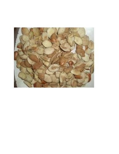 Irvingia gabonensis seeds in Nigeria, Irvingia gabonensis seeds ...