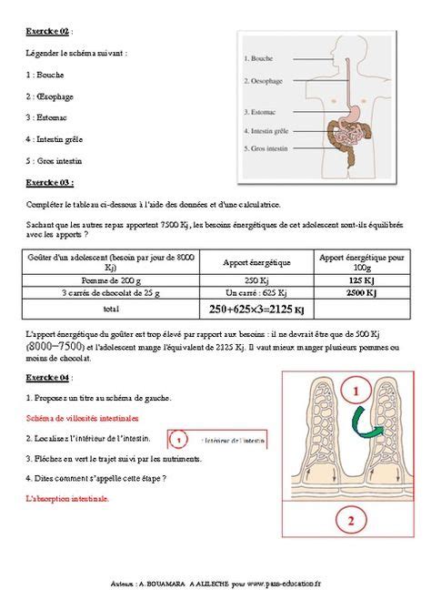 Digestion Apport Des Nutriments Dans Le Sang 5ème Exercices Corrigés Remédiation Svt