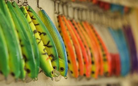 Line and Lure Colors: How They Impact Your Fishing Success